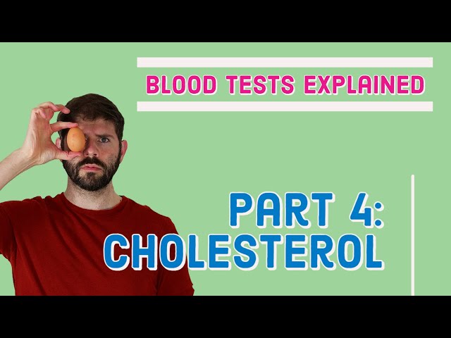 Cholesterol Blood Test - What does it mean? (lipids, HDL, LDL, Non-HDL 🤔)