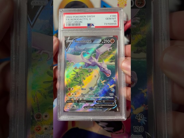 PSA 10 Aerodactyl 🔥 #pokemon #pokemoncards