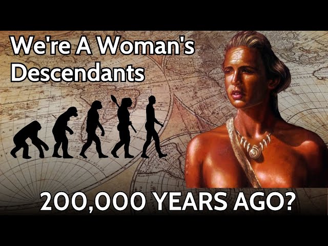 The Entire of Human Evolution - 8 Million Years in 12 Minutes