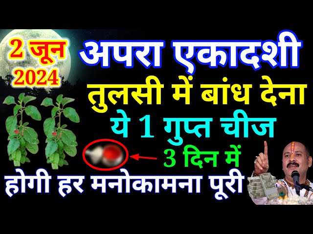 02 जून "अपरा एकादशी" के दिन तुलसी के नीचे बांधे यह एक चीज, जो करेगा यह वो होगा मालामाल#pardeepmishra