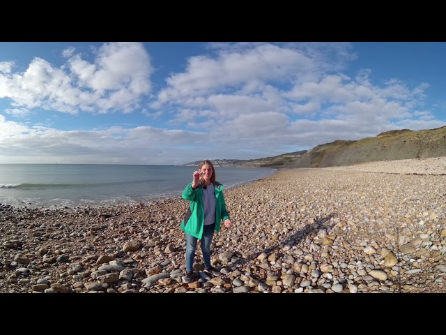 Charmouth Heritage Coast Centre - Anna Holbrook