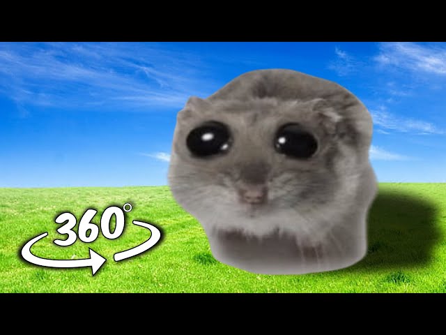 Sad Hamster Meme But it's 360 degree video #2