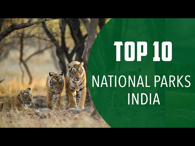 Top 10 Best National Parks to Visit in India - English