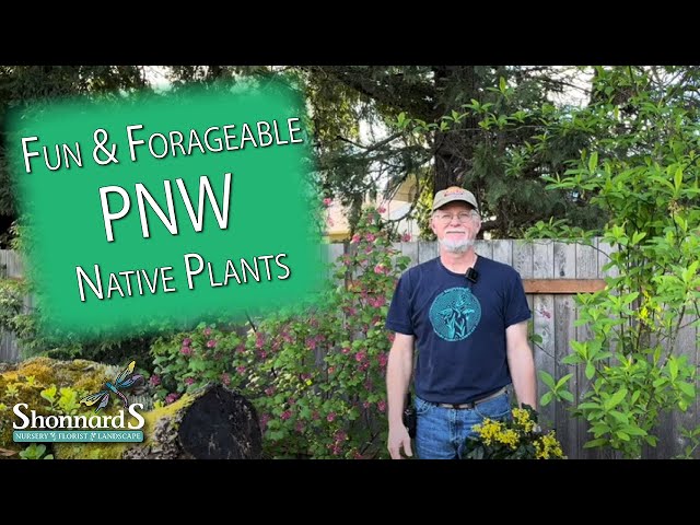 Edible PNW Native Plants for Your Garden