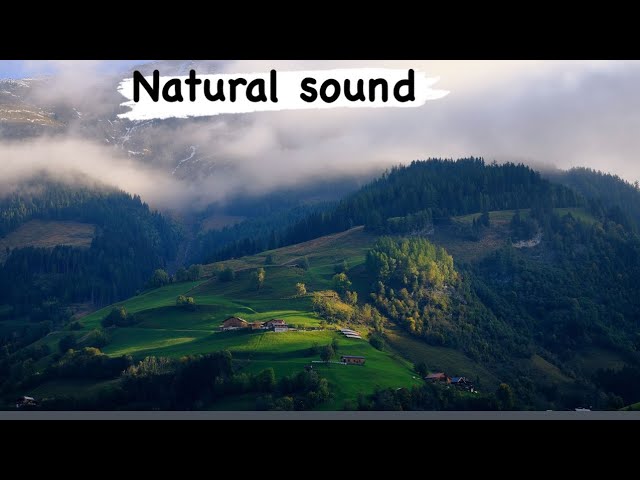 Beautiful Morning Relaxing Music | Paino & Guitar Music | Calm Deep Sleep Music | #Meditation