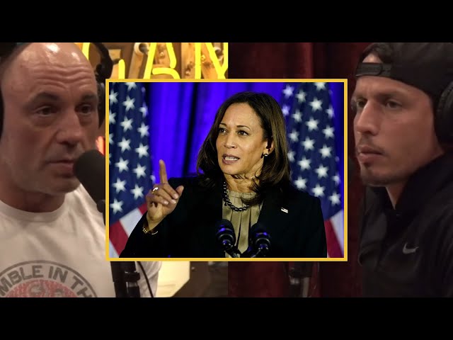 Joe Rogan: The PROBLEM With DIVERSITY in The United States!