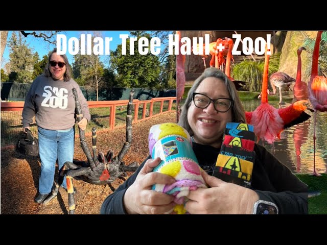 Big Dollar Tree haul and zoo chat! January 19, 2025