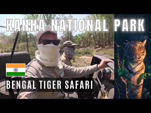 Kanha National Park: Unforgettable Encounters with Bengal Tigers