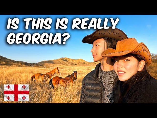 CAMPING with HORSES in the Mountains (Sleeping in a Tent) Best Experience in Georgia