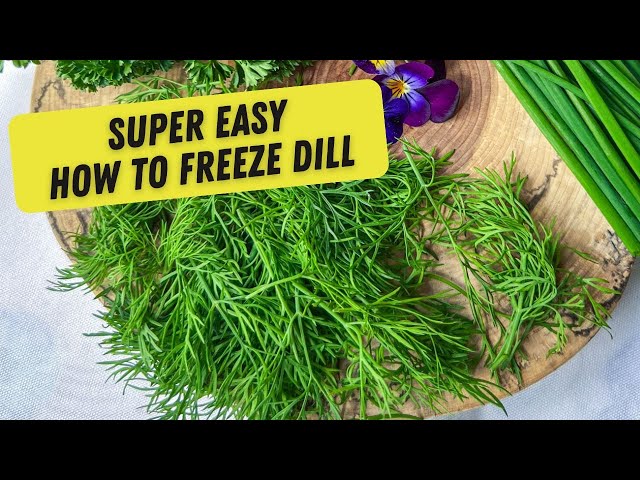 How to Freeze Dill for MAX Flavour!