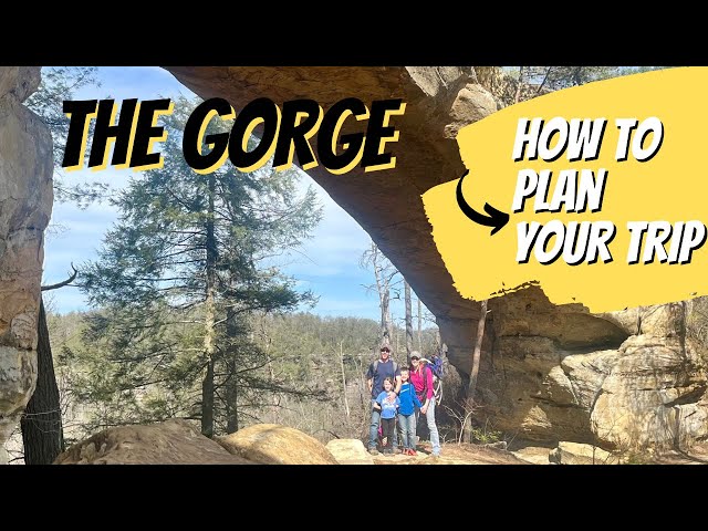 Planning Your Family Trip to Red River Gorge