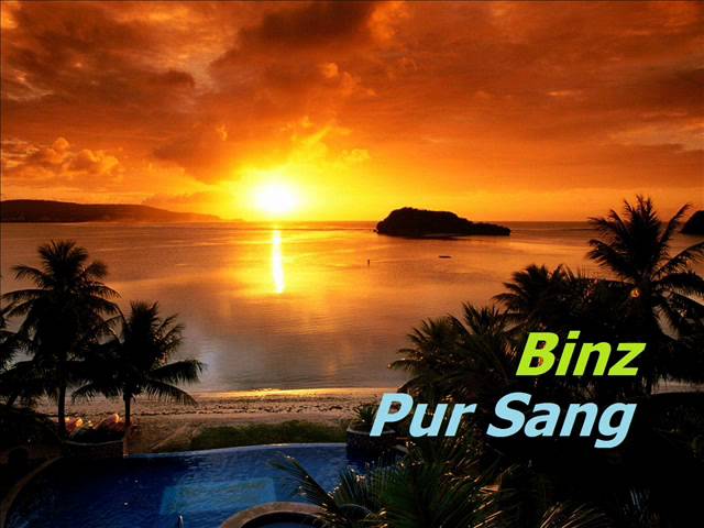 [Liquid Drum and Bass] Binz - Pur Sang