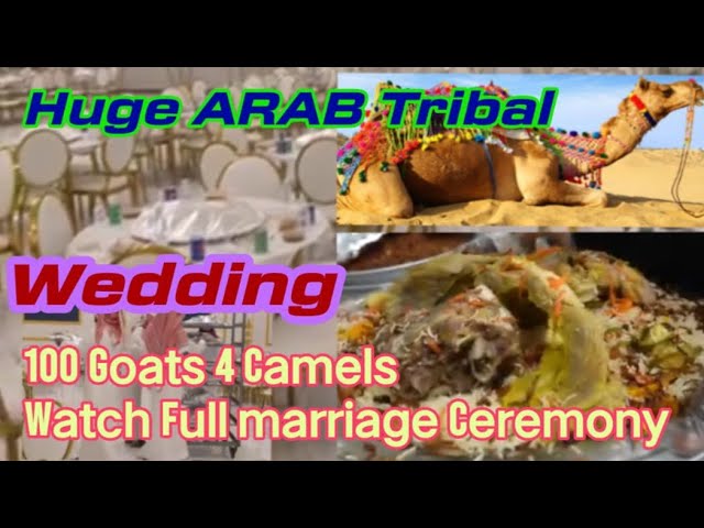 Huge ARAB Tribal Wedding 100 Goats 4 Camel Dishes  II Watch II Saudi Arabia II Village Weeding