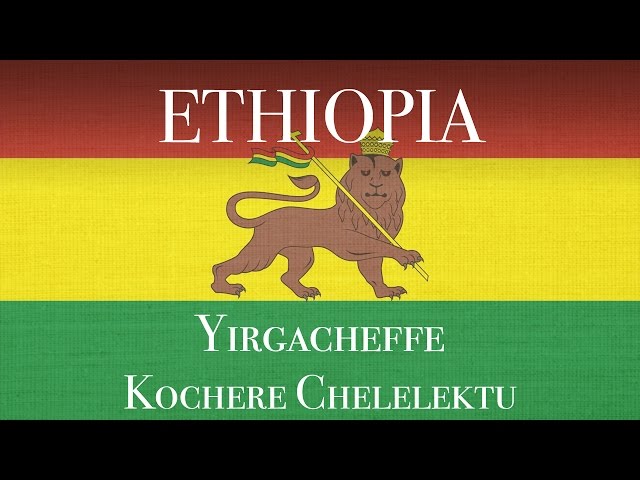 Ethiopia Yirgacheffe Kochere Chelelektu