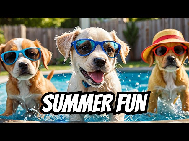 Watch: Stubborn Pups' Hilarious Surrender to Summer Fun! 🐶