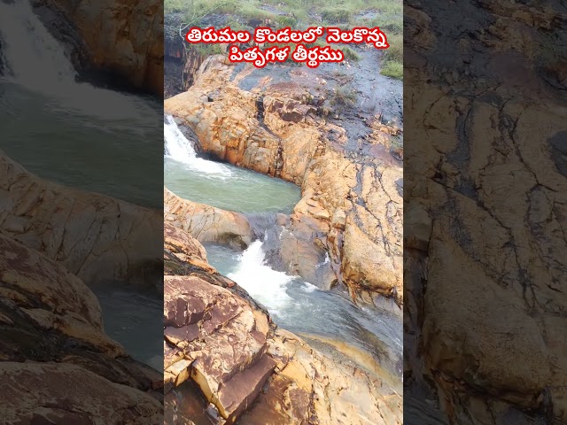 పితృగళతీర్ధం #tirumala #tirupati #devine #spiritual #god #hindu #sanatani #falls #water #pure #peace