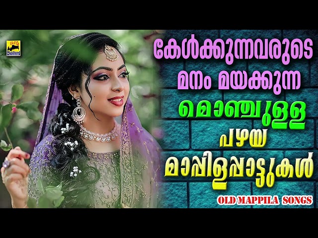 Kannur Shareef Mappila Song | Mappila Songs | Old Is Gold Mappila Pattukal | Malayalam Mappila Songs