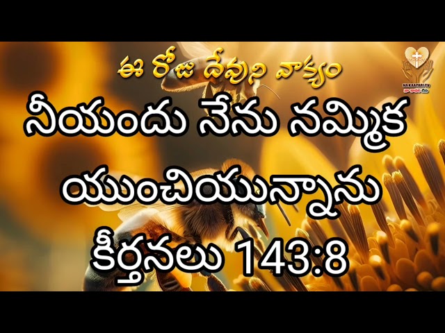 Daily Bible verse in Telugu | Devuni vagdhanam | nakaapari tv