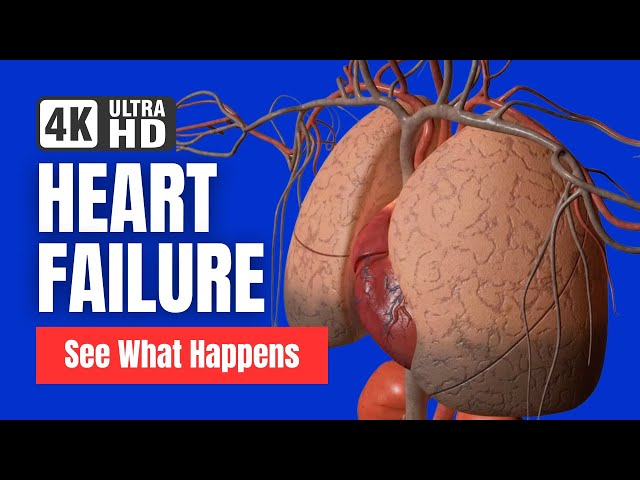 Heart Failure - See What Happens - #4k #3d #animation #heart