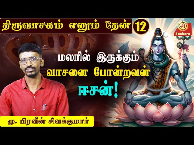 பசுவின் கறந்த பாலை மட்டுமே அபிஷேகத்துக்கு பயன்படுத்த வேண்டும் | திருவாசகம் எனும் தேன் | Epi - 12