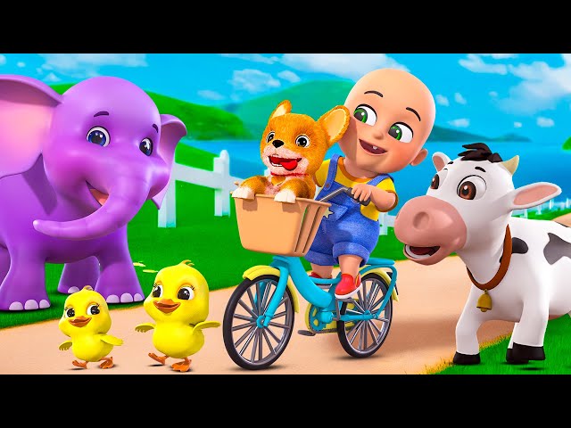 Lola The Bingo Song | Old Macdonald had a Farm | Cow, And Baby Ducks | Nursery Rhymes & Kids Songs