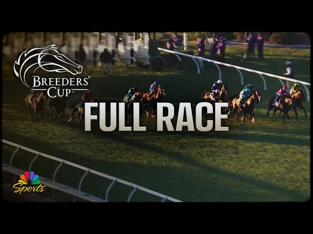 Breeders' Cup 2024: Juvenile Turf (Full Race) | NBC Sports