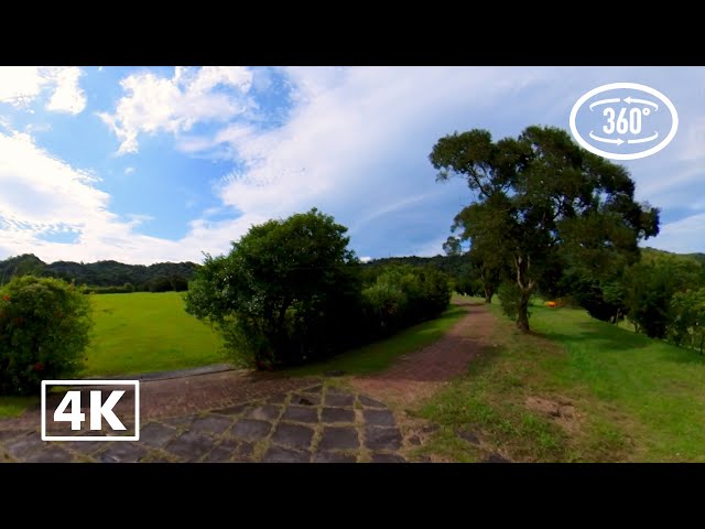 4K VR360 Dreamy Tour Ambiance: Strolling in Fudekeng Environmental Restoration Park