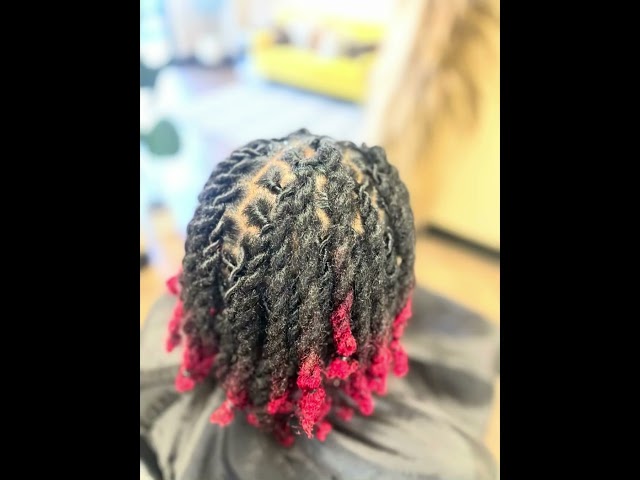 Quick & Easy Loc Retwist with Two-Strand Style | Pro Tips for Colored Locs