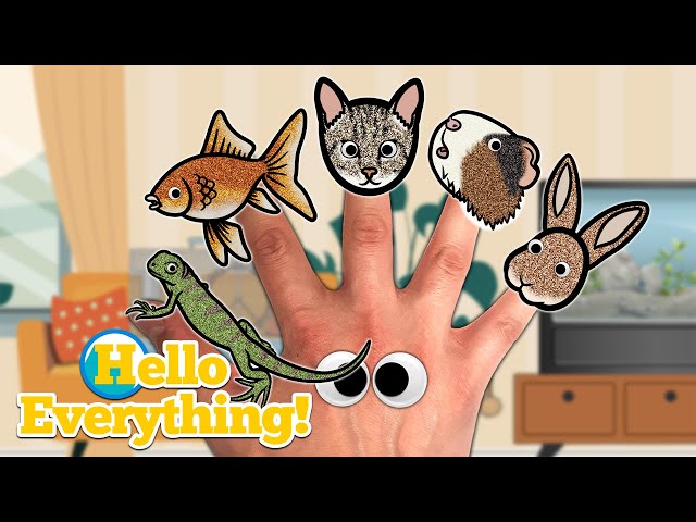 Pet Animals Finger Family | Kids Songs and Nursery Rhymes