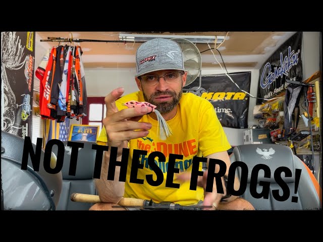 Lost 100$ worth of frogs!