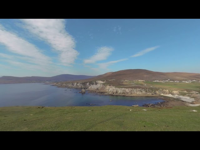 In the Beautiful Irish Nature, with Sheep  (VR 180 Video)