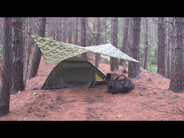 TENT camping in HEAVY RAIN with my dog