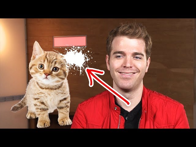 Shane Dawson Done WHAT To His Cat!!!!