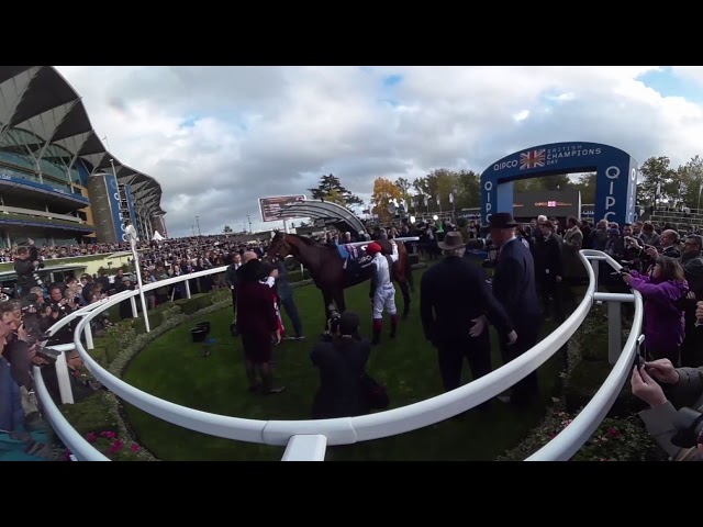 Frankie Dettori wins the QIPCO Champion Stakes in 360 degree video