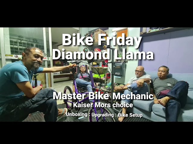 Bike Friday Diamond Llama