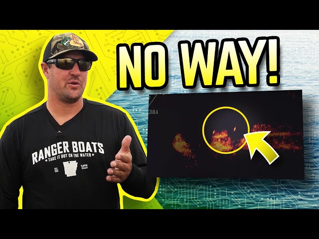 How To Identify Fish On LiveScope | Cory Johnston