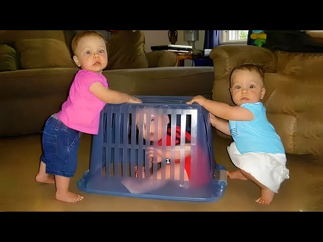 Funniest Cute Baby Siblings Trouble Moments ★ Funny Baby Videos | Gods Laugh