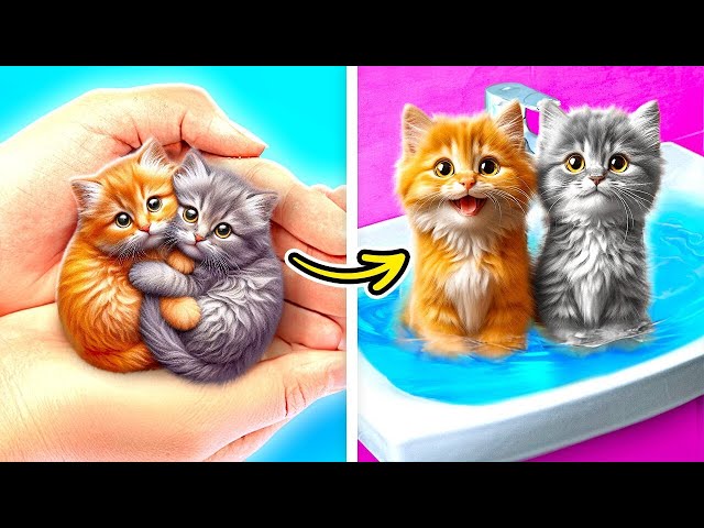 MEOW! Secret Room For SuperKitties 🐱 *DIY Room Makeover and Crafts Under Your Bed*