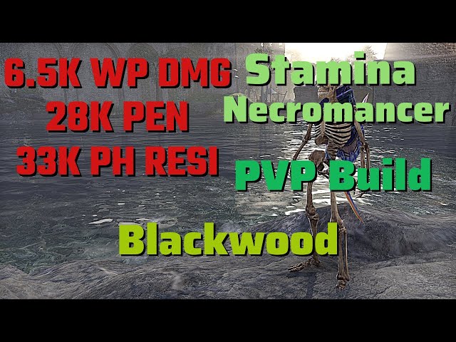 Stamina Necromancer - ESO PVP Build - Blackwood