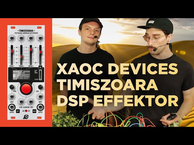 Xaoc Devices Timiszoara Eurorack DSP w/ The Patch Pals !