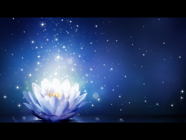 Meditation Music | Positive Energy Vibration | Healing Music