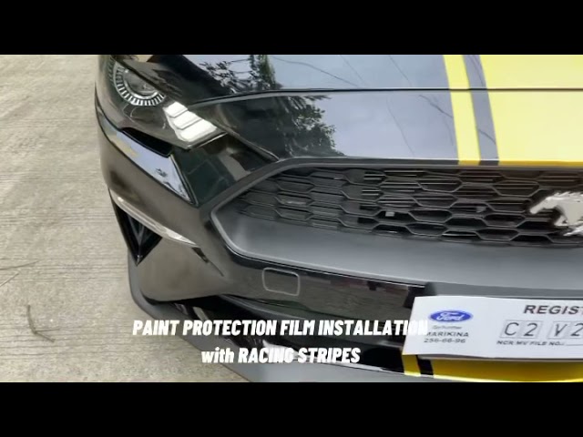 MUSTANG PAINT PROTECTION FILM