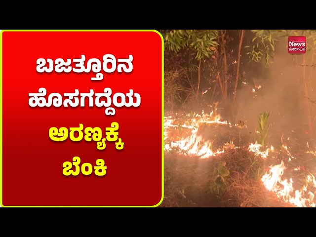 ರಸ್ತೆ ಬದಿಯಲ್ಲಿದ್ದ ಗುಡ್ಡದ ಮೇಲೆ ಆವರಿಸಿದ ಬೆಂಕಿ | News Karnataka