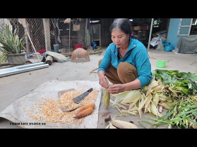 Rural Life Daily Stories of Raising Livestock with Love