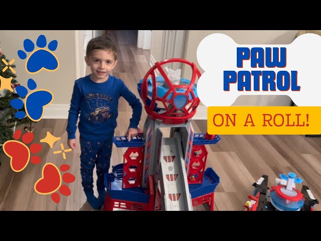 Play Paw Patrol Toys Play Along