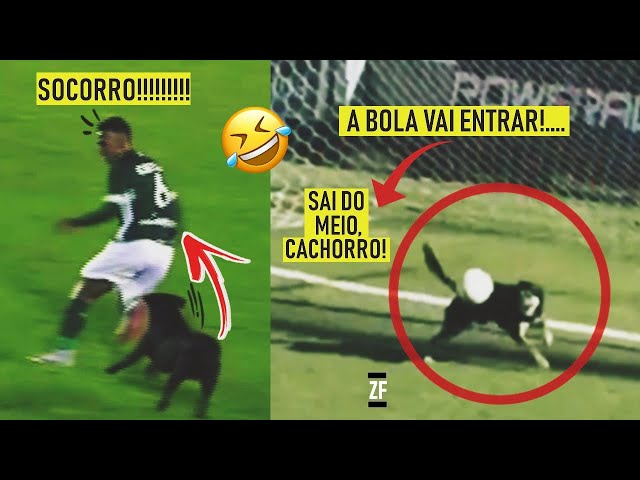 5 VEZES QUE CACHORROS INVADIRAM CAMPOS DE FUTEBOL