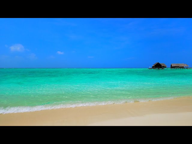 Ocean 4K Ultra HD 🏝 Ocean Waves on a Tropical Island in Maldives