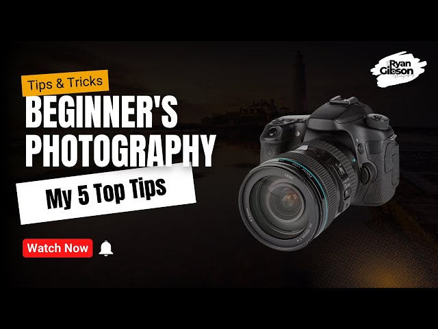 Beginner Photography - My 5 Tips #photography