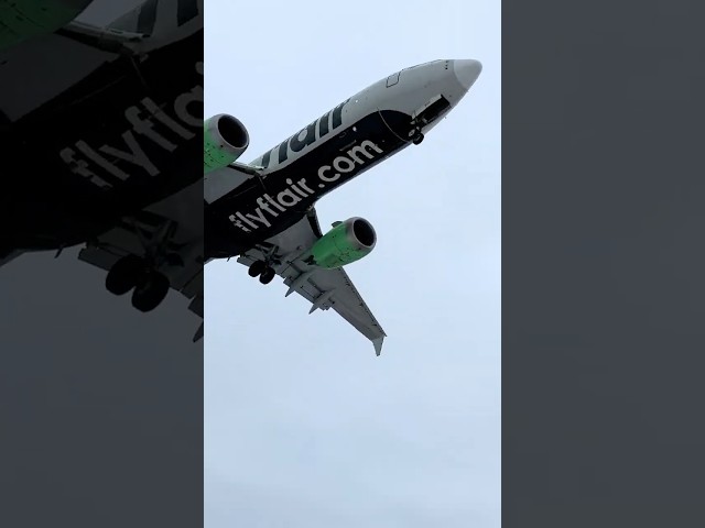 Flair Boeing 737 close up landing #planelanding over head #planespotting #aircrafts #airports