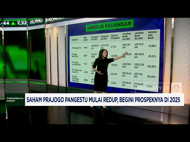 Menilik Prospek Saham Prajogo Pangestu di 2025